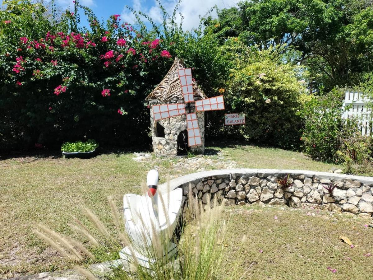 La Melodie Des Oiseaux Grand-Bourg  Exteriör bild